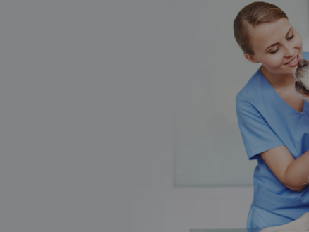 Crosstex Vet HeaderImage