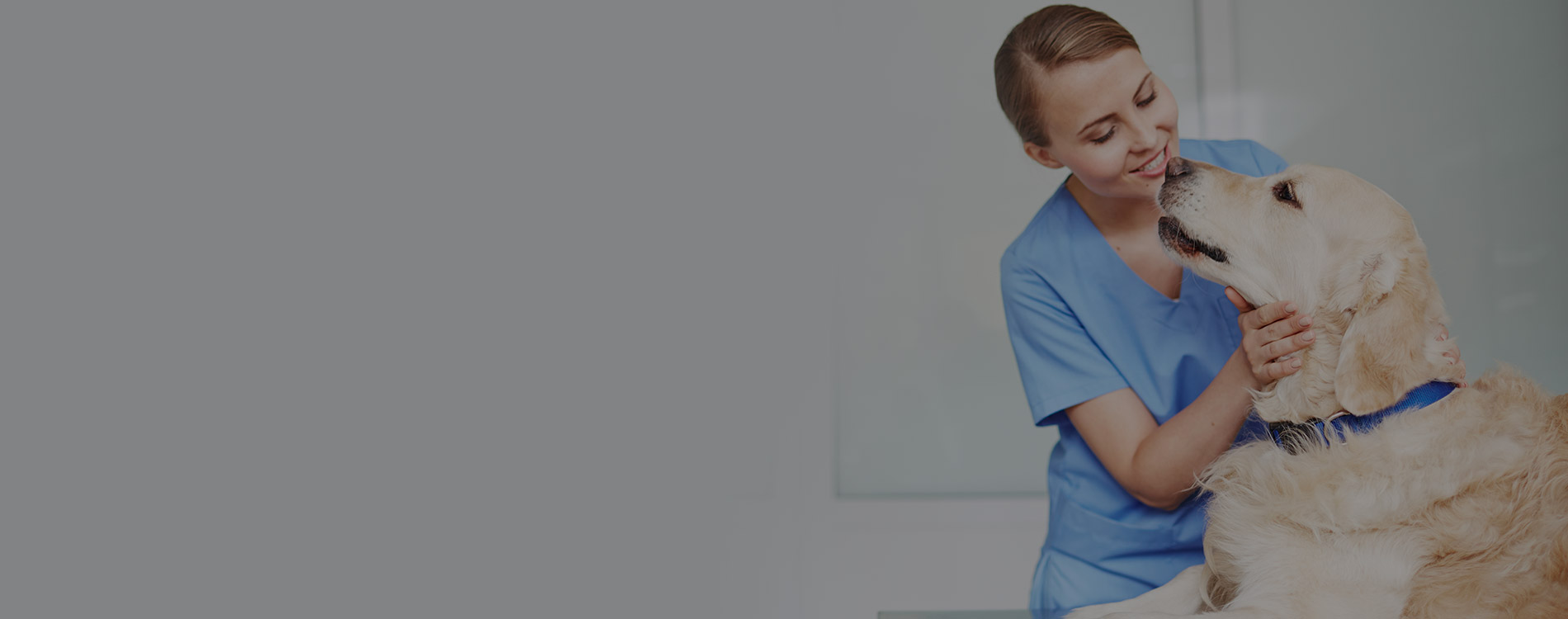 Crosstex Vet HeaderImage