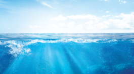 Header harbor