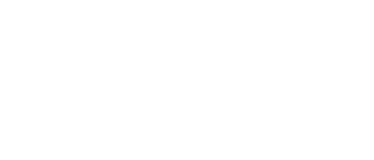 LIDA logo 1